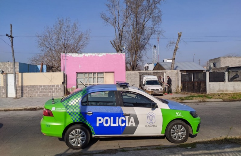 Reubicaron a los pitbull que atacaban en el barrio M. Fierro